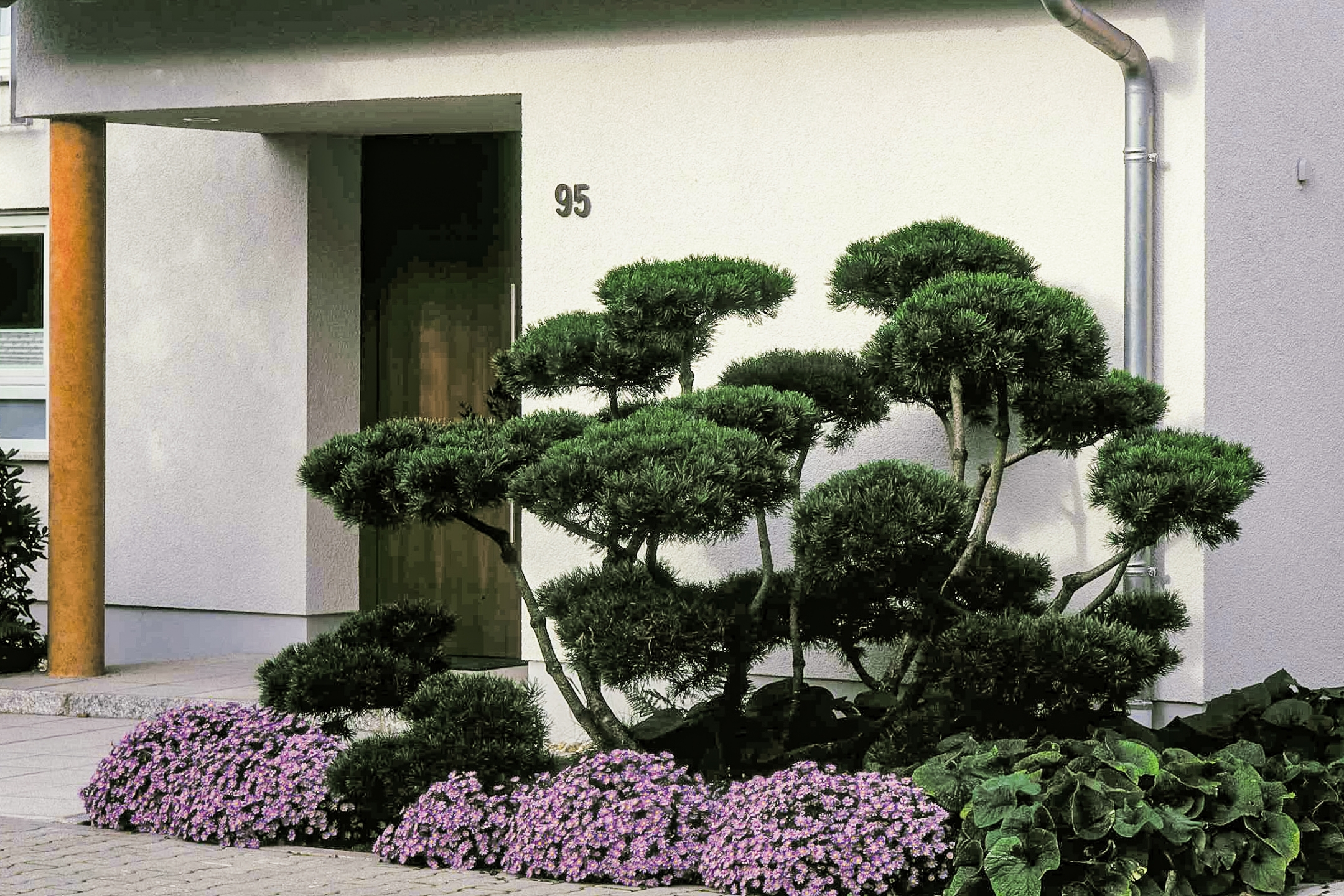 Eingangsbereich eines Hauses mit Grünanlage