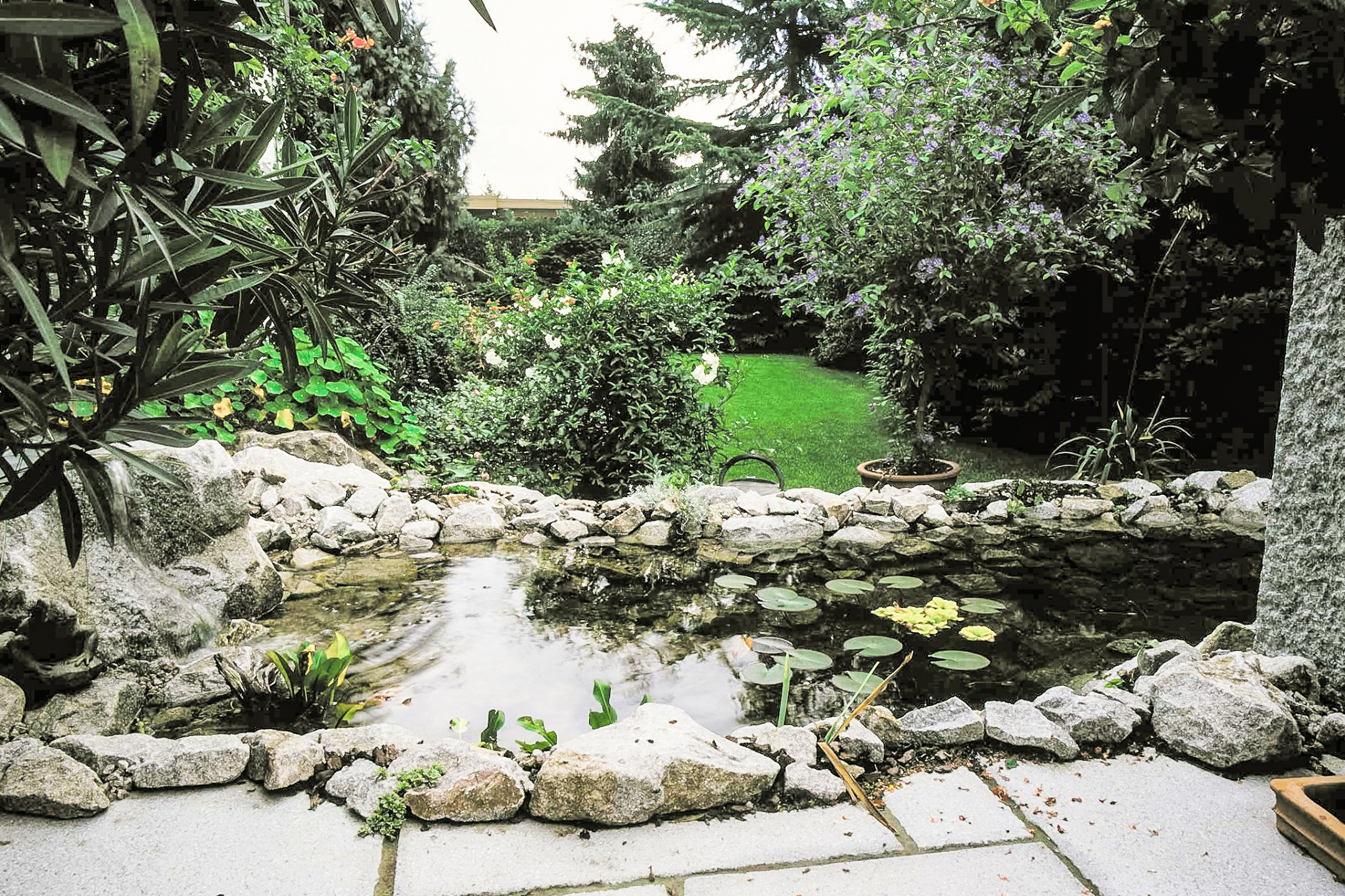 Blick in einen mit Naturstein und Pflanzen angelegter, kleiner Teich