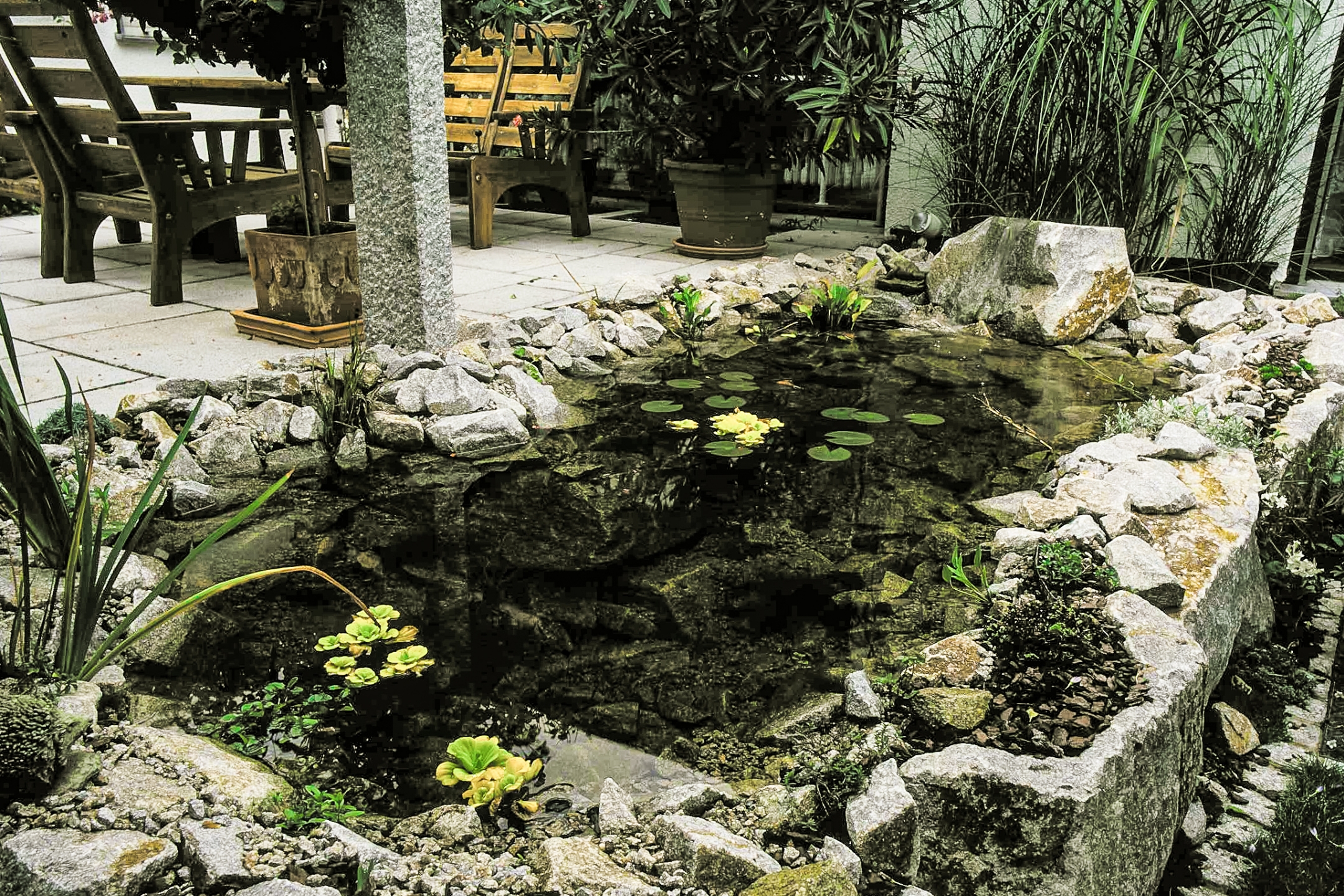 Blick in einen mit Naturstein und Pflanzen angelegter, kleiner Teich